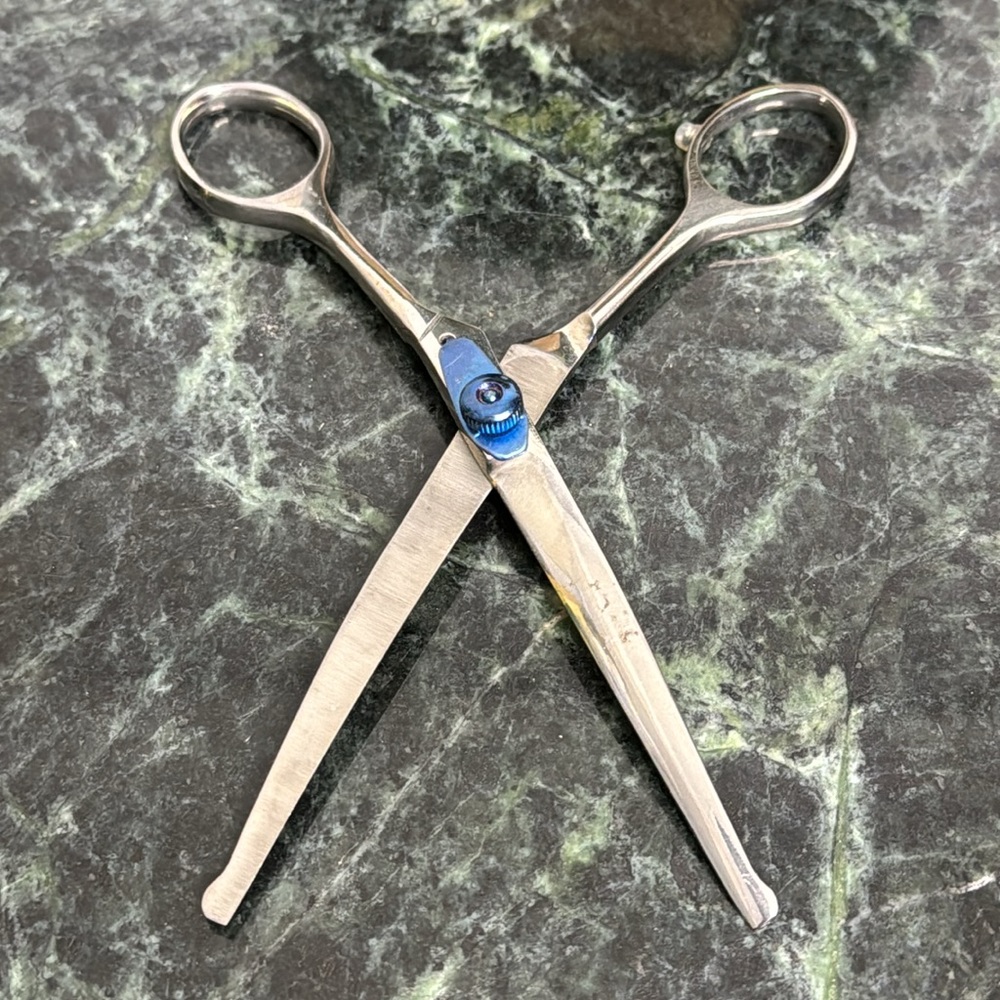 Vintage Curved Scissors With Blunt Tips